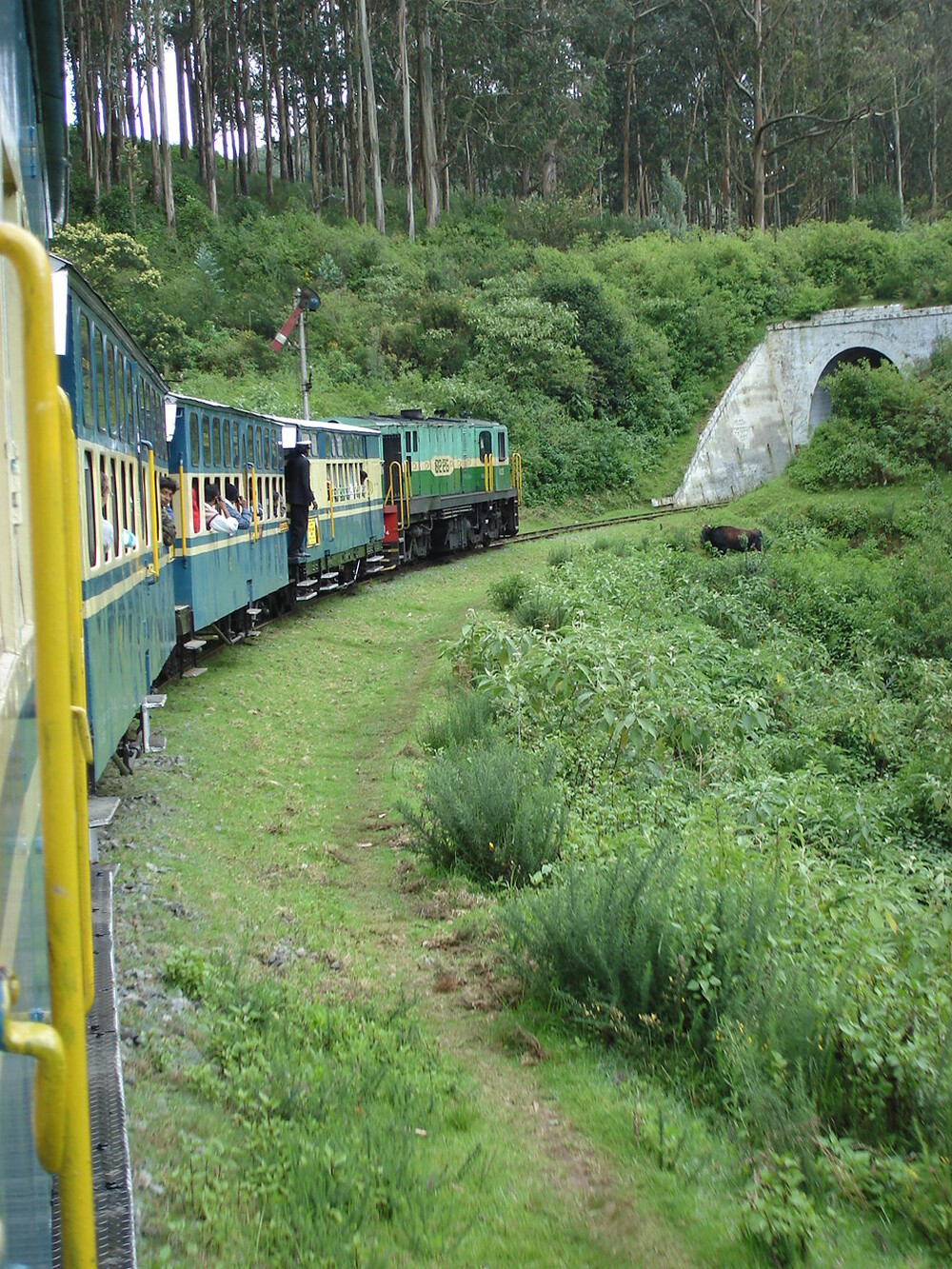 Mountain Railways of India (1999)