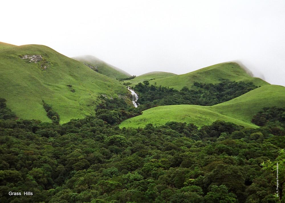 Western Ghats (2012)
