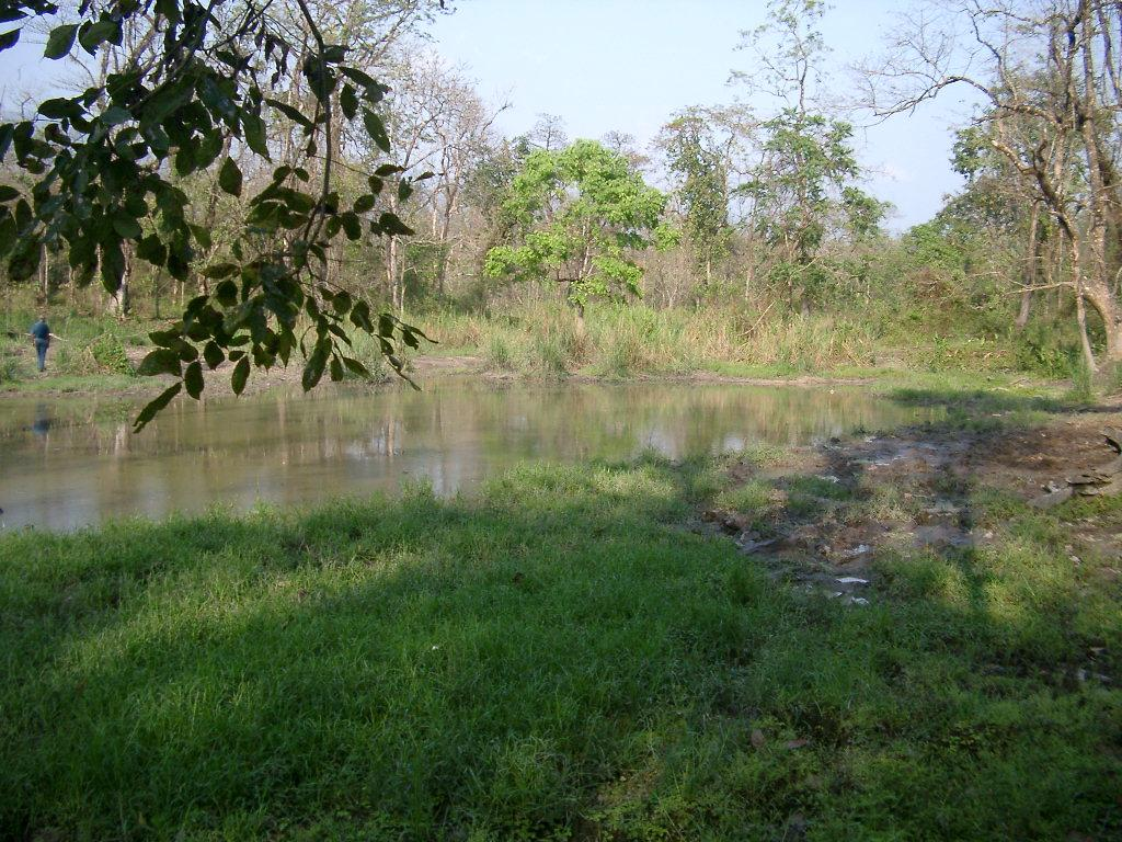 Manas Wildlife Sanctuary